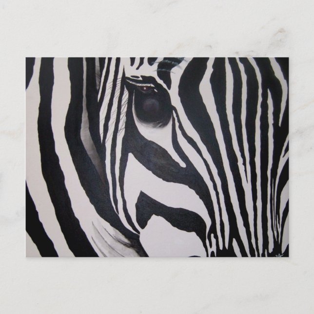 Zebra Postcard (Front)