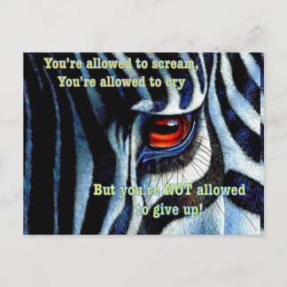 Zebra postcard