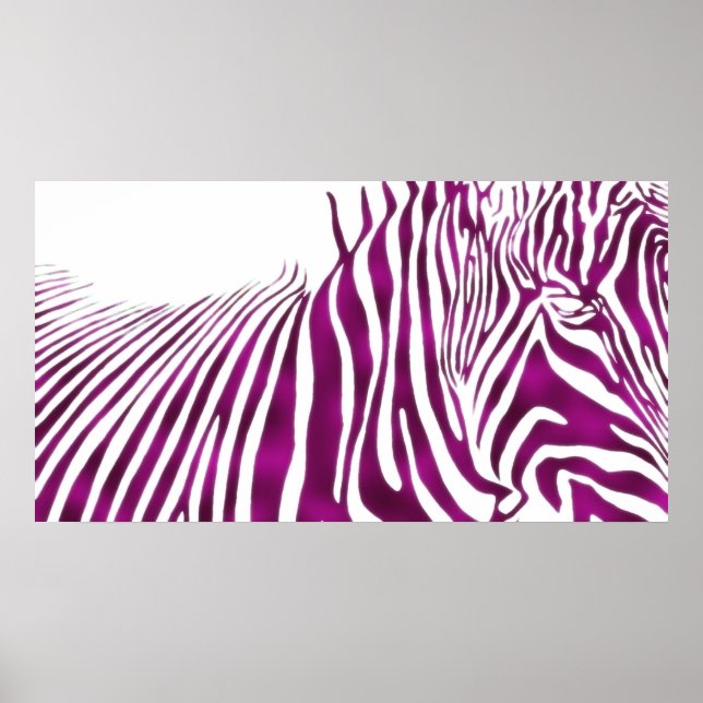 ZEBRA POSTER (Front)