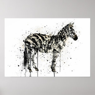  Zebra Poster