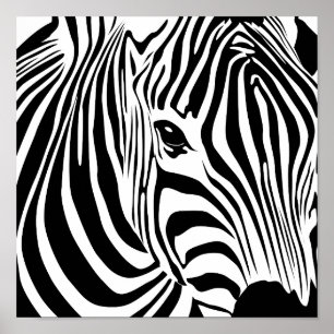 Zebra Poster