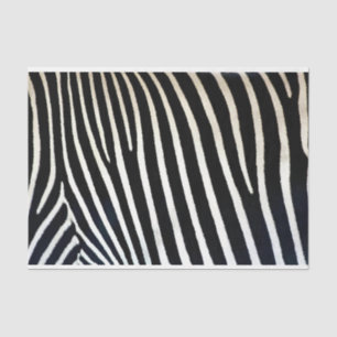 Zebra Print Black Fur Tissue Paper