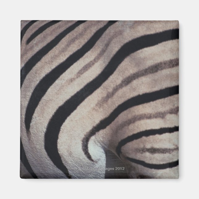 Zebra print magnet (Front)