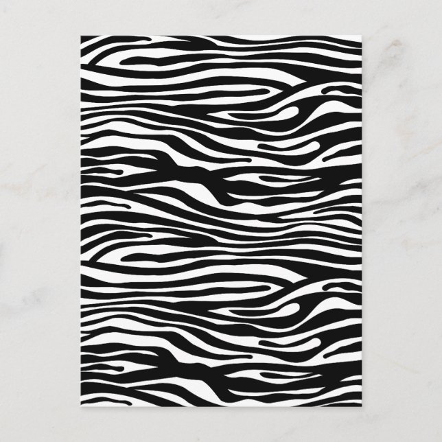 Zebra Print Pattern - Black and White Postcard (Front)