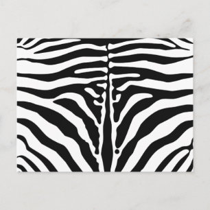 Zebra print postcard