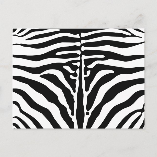 Zebra print postcard (Front)