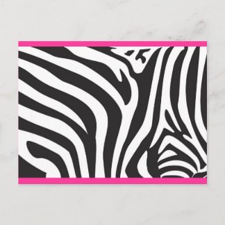 Zebra Print Postcard