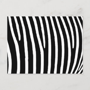 Zebra Print Postcard