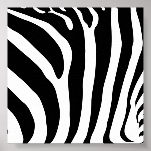 Zebra Print Poster (Front)