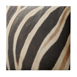 Zebra Print Tile