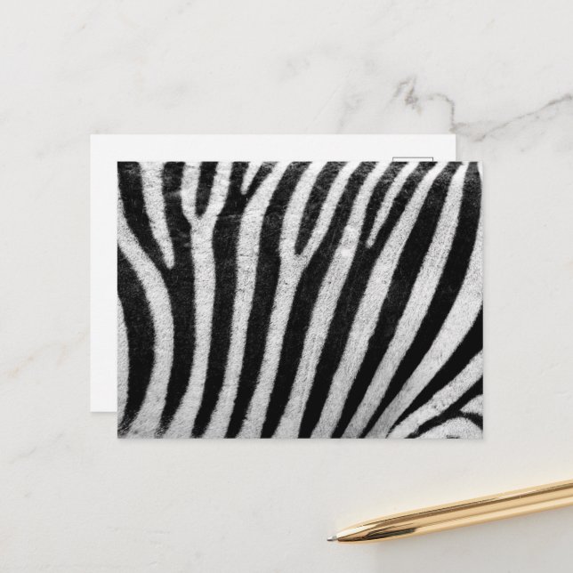Zebra Print, Zebra Stripes, Black And White Postcard (Front/Back In Situ)