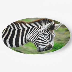 Zebra Profile Paper Plate