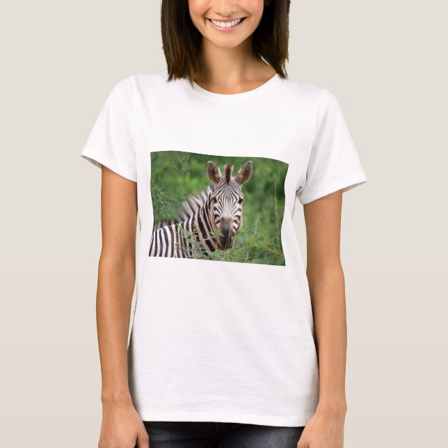 Zebra profile T-Shirt (Front)