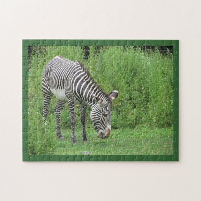Zebra Puzzle (Horizontal)