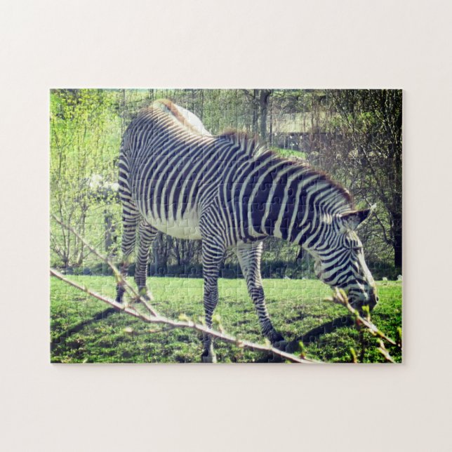 Zebra Relaxing Self-Care Jigsaw Puzzle (Horizontal)