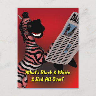 Zebra Riddle Postcard
