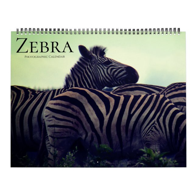 zebra safari 2026 large calendar (Cover)