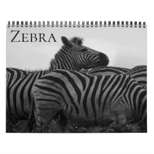 zebra safari 2027 calendar