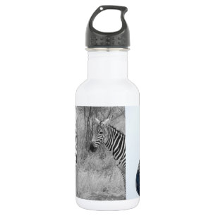 Zebra Safari Cute African Classy Stripes 532 Ml Water Bottle