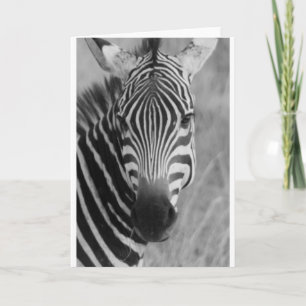 Zebra Safari Cute African Classy Stripes Card