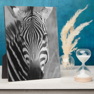 Zebra Safari Cute African Classy Stripes Plaque
