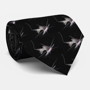 Zebra Shovelnose Tie