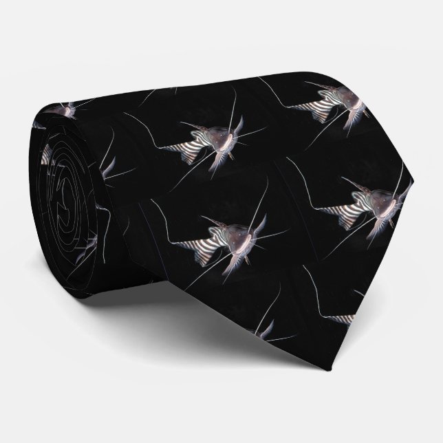 Zebra Shovelnose Tie (Rolled)