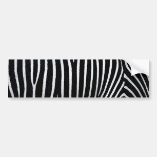 Zebra Skin Bumper Sticker