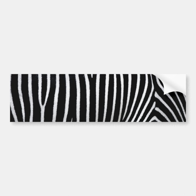Zebra Skin Bumper Sticker (Front)
