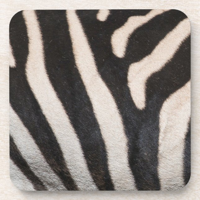 ZEBRA SKIN COASTER (Front)
