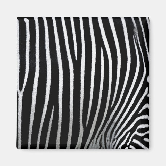 Zebra Skin Magnet (Front)