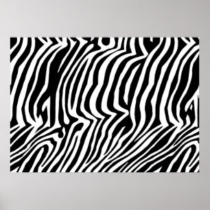 Zebra skin pattern poster
