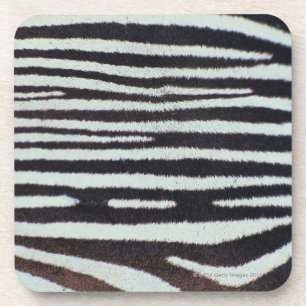Zebra skin surface coaster
