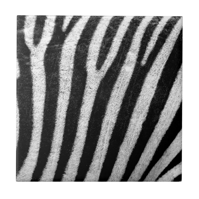 Zebra Skin Tile (Front)