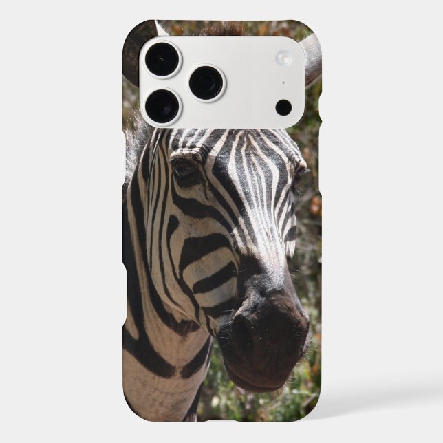 zebra smiles (Back)