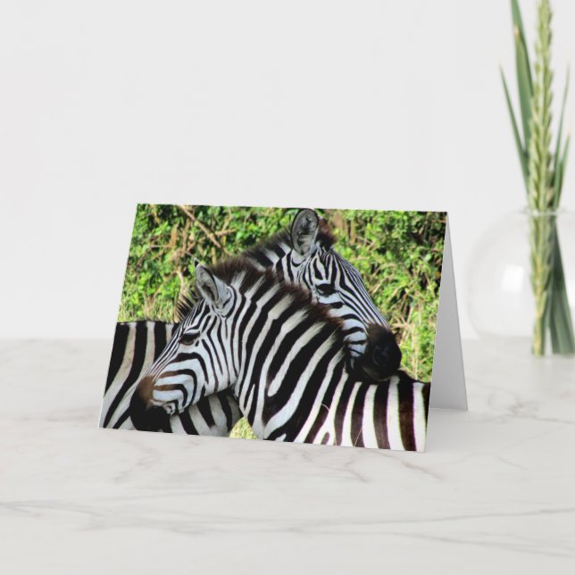 zebra snuggles card (Front)