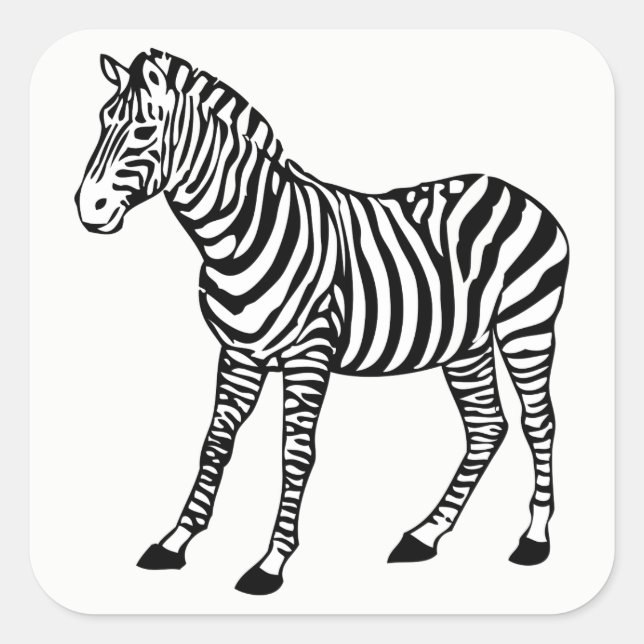 zebra square sticker (Front)