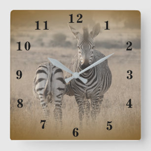 Zebra Square Wall Clock
