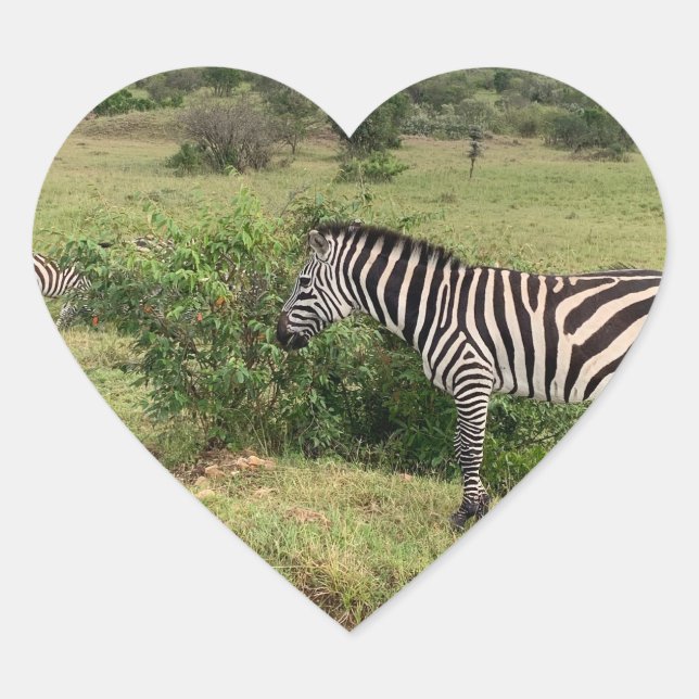 Zebra Sticker (Front)