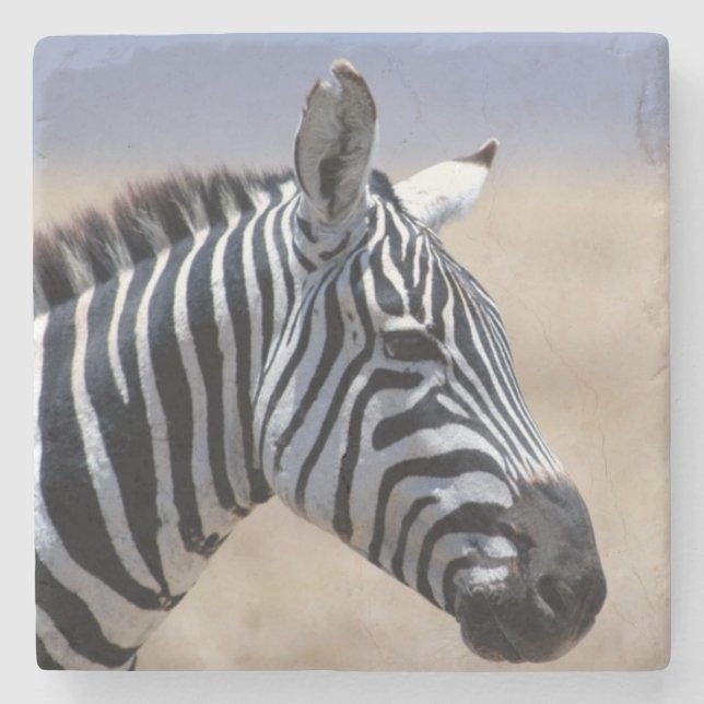 Zebra Stone Coaster (Front)