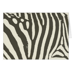 Zebra Stripe Animal Print Pattern