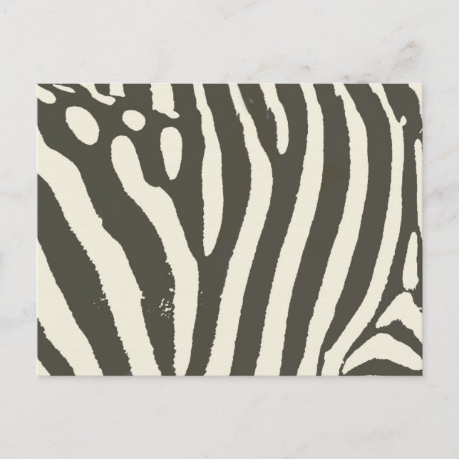Zebra Stripe Animal Print Pattern Postcard (Front)