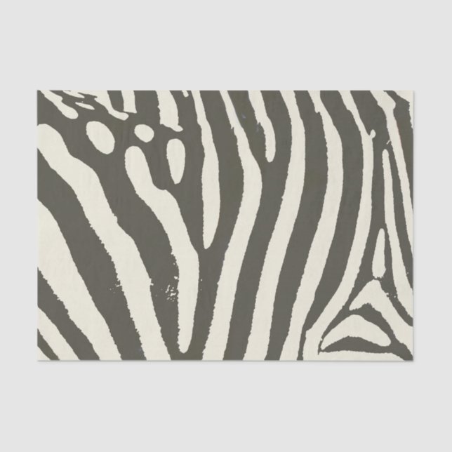 Zebra Stripe Animal Print Pattern Tissue Paper (Front)