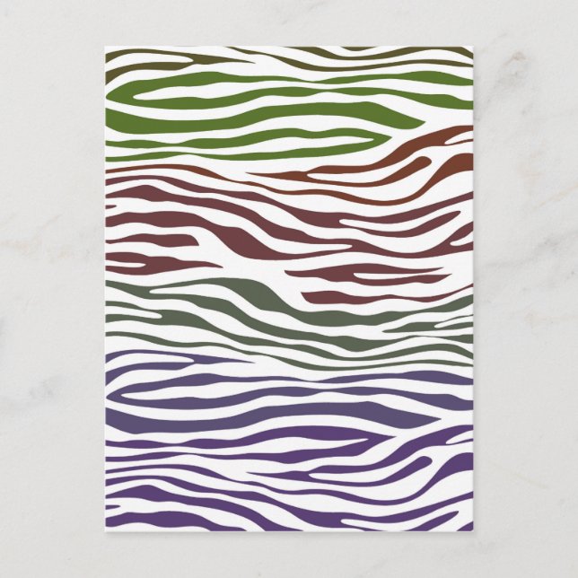 Zebra Stripe Colourful Abstract Postcard (Front)