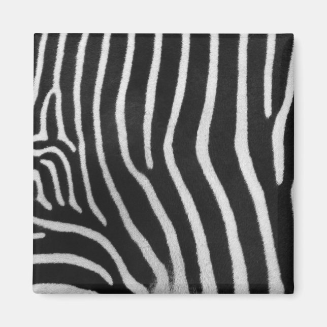 Zebra Stripe Pattern Square Magnet (Front)