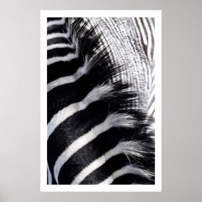 Zebra Stripe Wall Art Modern Animal Print (Front)