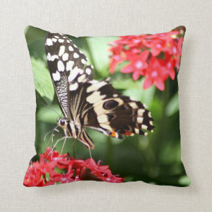 Zebra Striped Butterfly Cushion