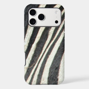 zebra stripes