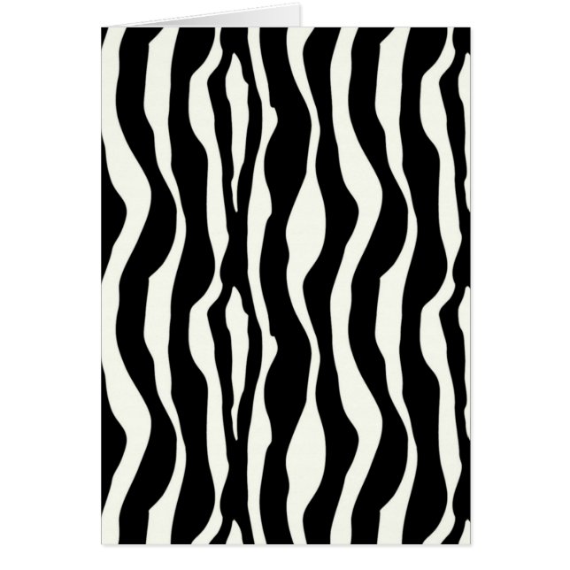 Zebra stripes - Black and White (Front)