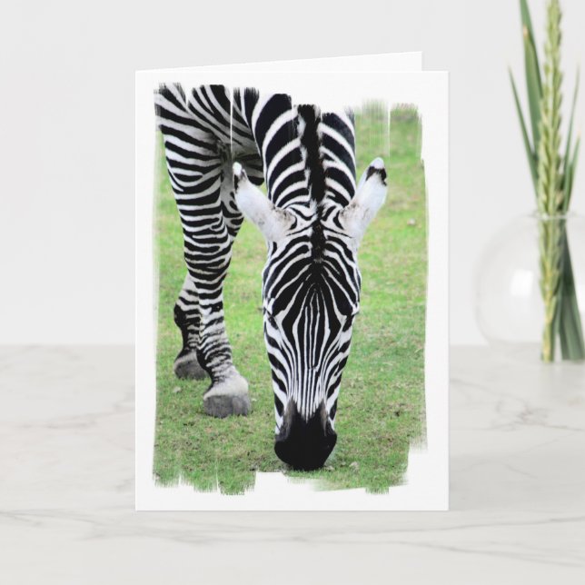 Zebra Stripes Greeting Card (Front)